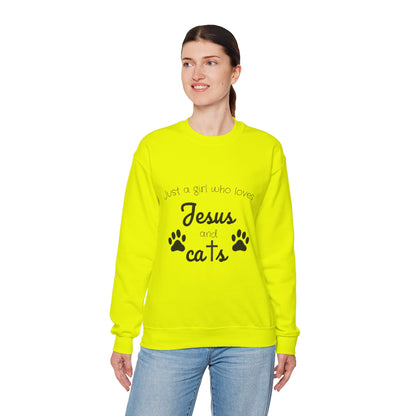 'Jesus & Cats' Sweatshirt | Christian Faith & Feline Lover Cozy Crewneck