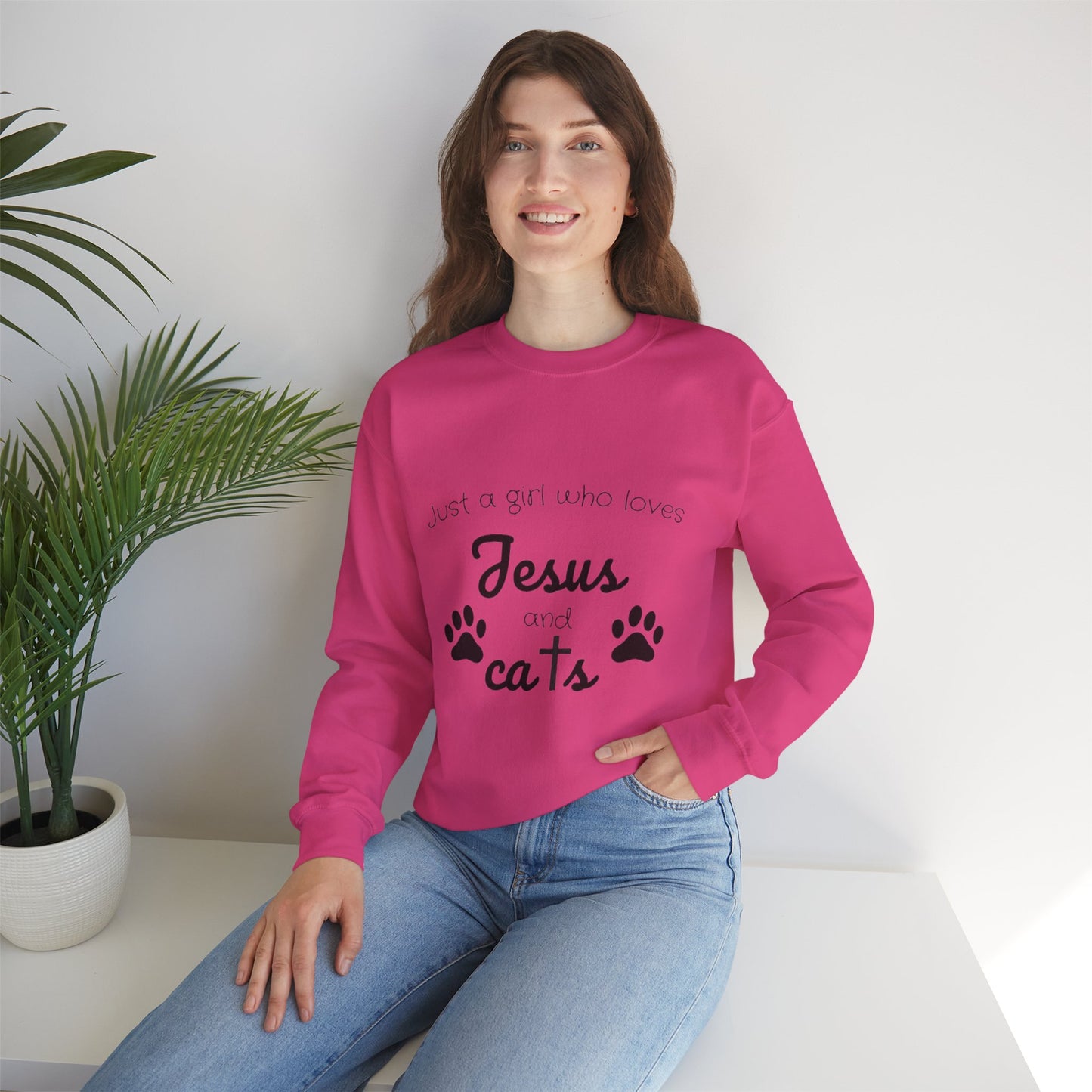 'Jesus & Cats' Sweatshirt | Christian Faith & Feline Lover Cozy Crewneck