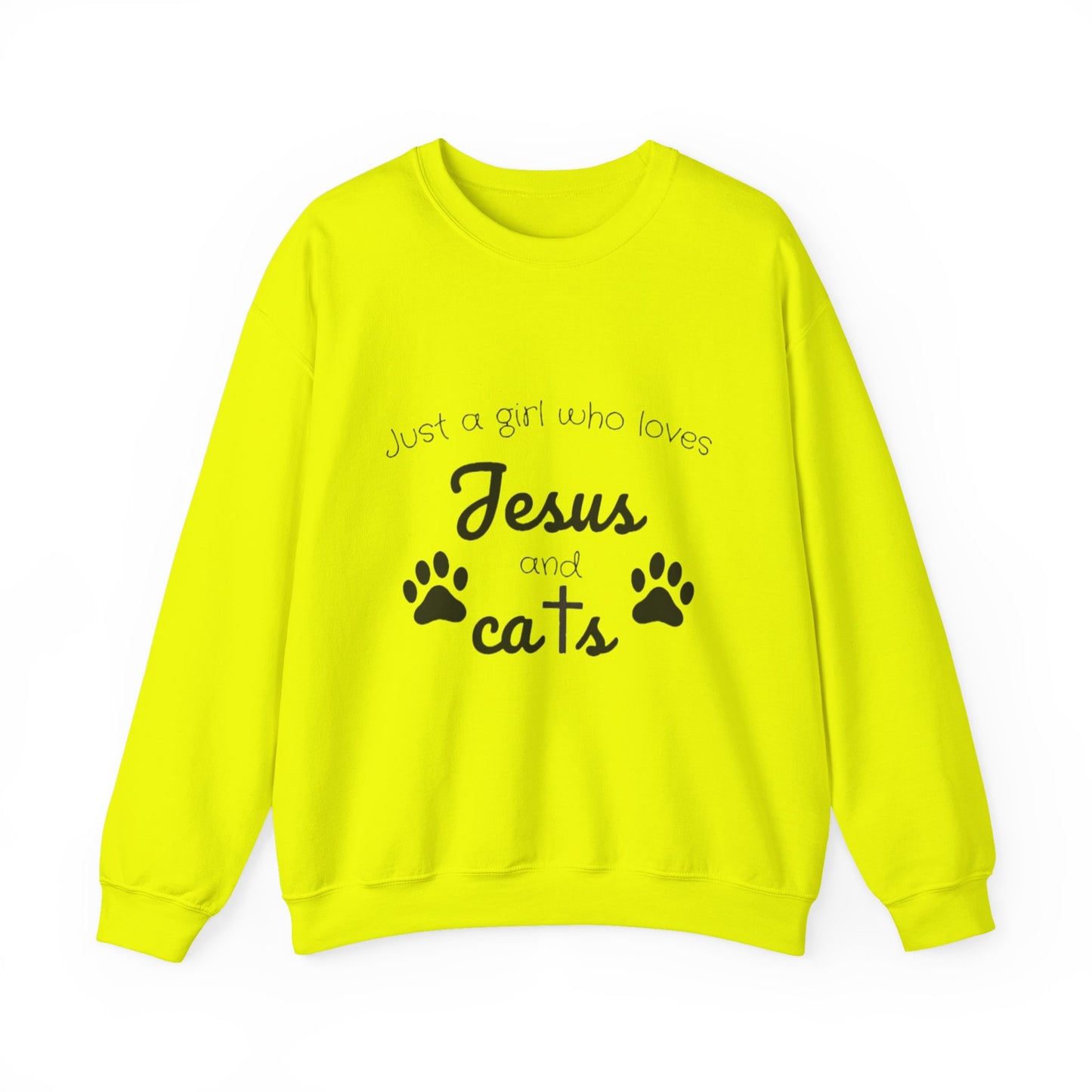 'Jesus & Cats' Sweatshirt | Christian Faith & Feline Lover Cozy Crewneck