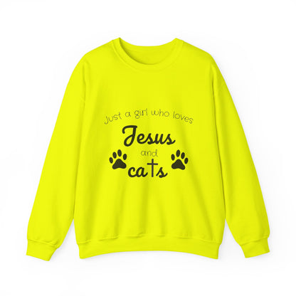 'Jesus & Cats' Sweatshirt | Christian Faith & Feline Lover Cozy Crewneck