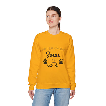 'Jesus & Cats' Sweatshirt | Christian Faith & Feline Lover Cozy Crewneck