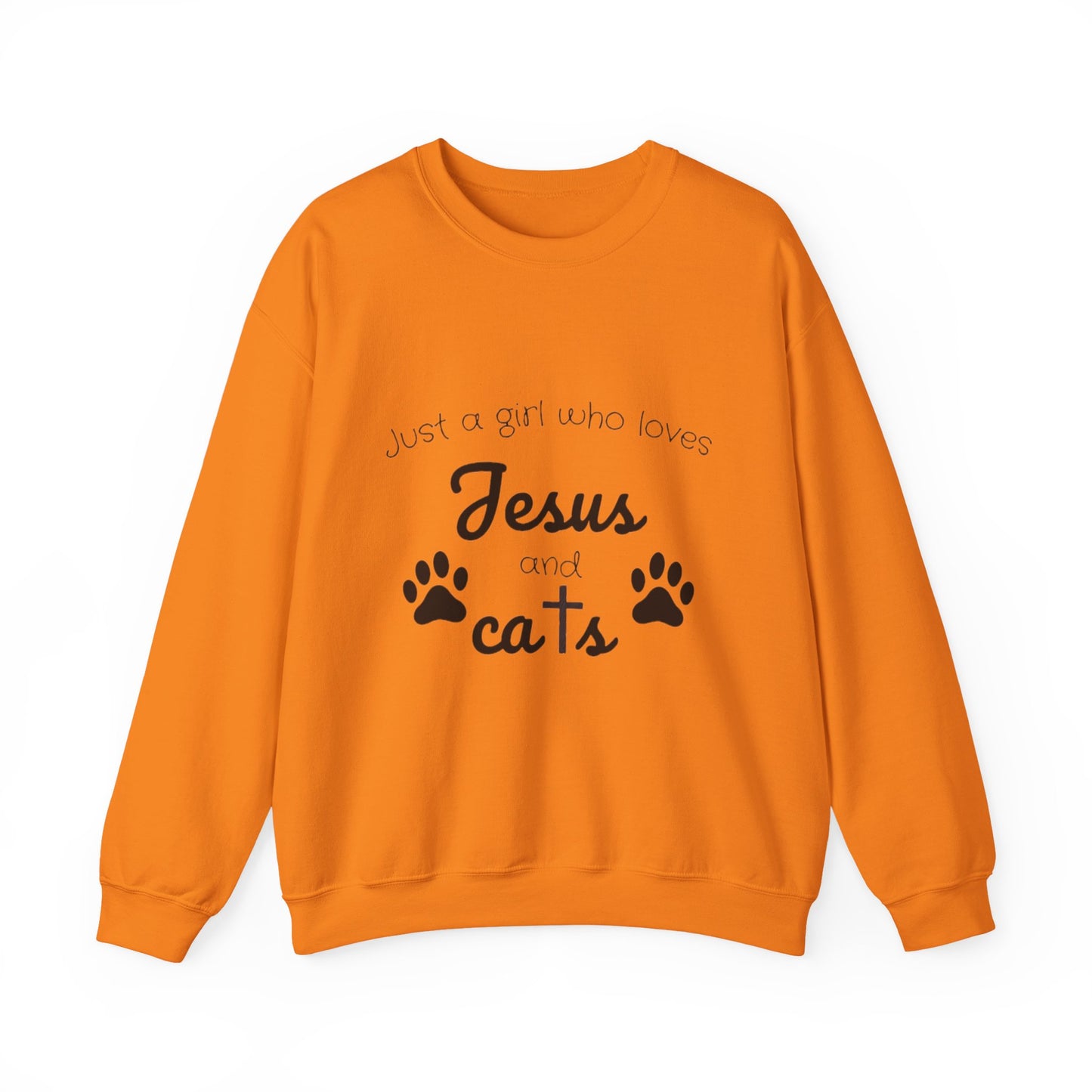 'Jesus & Cats' Sweatshirt | Christian Faith & Feline Lover Cozy Crewneck