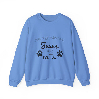 'Jesus & Cats' Sweatshirt | Christian Faith & Feline Lover Cozy Crewneck