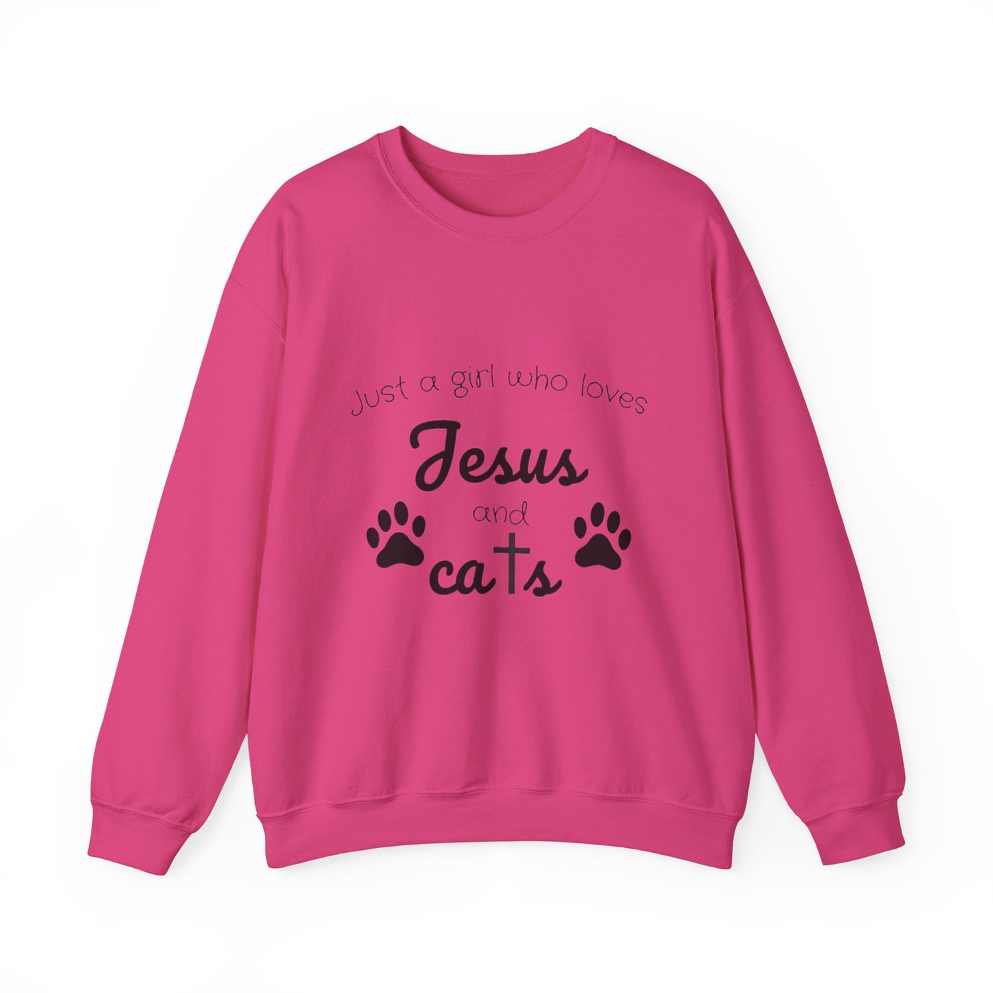 'Jesus & Cats' Sweatshirt | Christian Faith & Feline Lover Cozy Crewneck