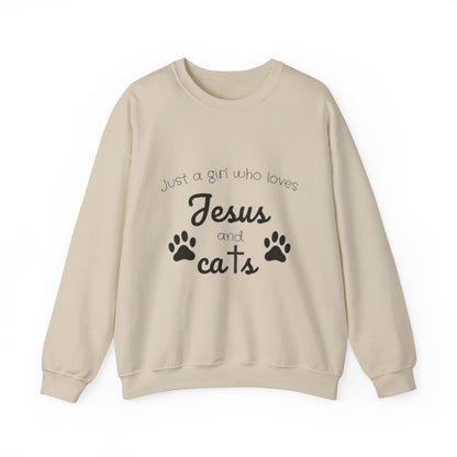 'Jesus & Cats' Sweatshirt | Christian Faith & Feline Lover Cozy Crewneck