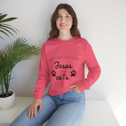 'Jesus & Cats' Sweatshirt | Christian Faith & Feline Lover Cozy Crewneck