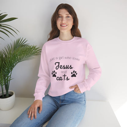 'Jesus & Cats' Sweatshirt | Christian Faith & Feline Lover Cozy Crewneck