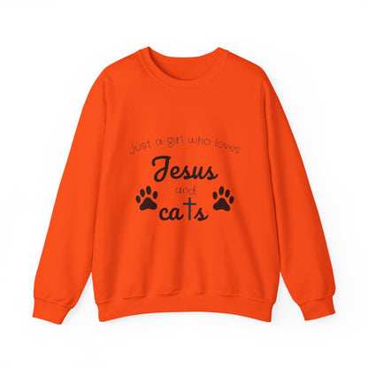 'Jesus & Cats' Sweatshirt | Christian Faith & Feline Lover Cozy Crewneck