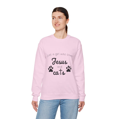 'Jesus & Cats' Sweatshirt | Christian Faith & Feline Lover Cozy Crewneck