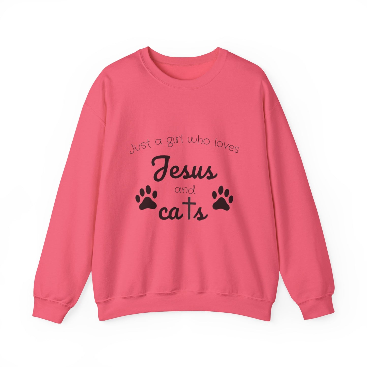 'Jesus & Cats' Sweatshirt | Christian Faith & Feline Lover Cozy Crewneck