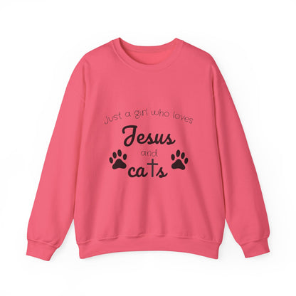 'Jesus & Cats' Sweatshirt | Christian Faith & Feline Lover Cozy Crewneck