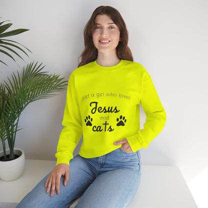 'Jesus & Cats' Sweatshirt | Christian Faith & Feline Lover Cozy Crewneck